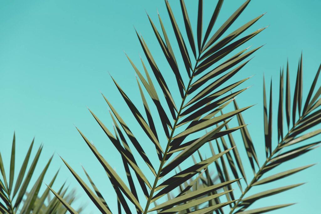 Green Leaves