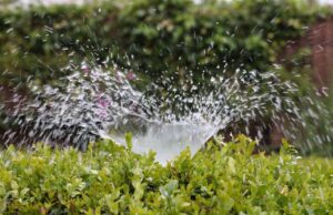 irrigation, splash, water
